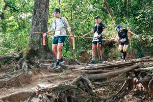 BIB: 
                            <button type="button" onclick="openModal(27716799)" class="btn btn-primary btn-sm float-right btn-popup" data-toggle="modal" data-target=".modal-high-quality">
                        <i class="fas fa-shopping-cart"></i> Add to Cart
                    </button>
                                            <button type="button" onclick="isThisMe(27716799, true)" class="btn btn-success btn-sm float-right btn-popup btn-isme hidden" data-toggle="tooltip" data-placement="bottom" title="นี่คือรูปของคุณใช่ไหม คลิกที่นี่เพื่อเอาเข้าอัลบั้ม">
                        <i class="fas fa-plus"></i> Add to album
                    </button>
                    <button type="button" onclick="isThisMe(27716799, false)" class="btn btn-warning btn-sm float-right btn-popup btn-isnotme hidden">
                        <i class="fas fa-ban"></i> Remove from album
                    </button>